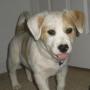 Jane Evans Photo 22