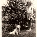 Marge Doyle Photo 21