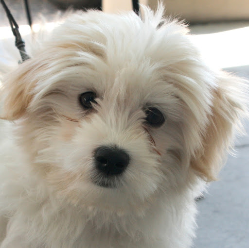 Michael Hoover Photo 43