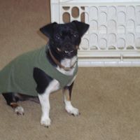 Connie Graham Photo 9
