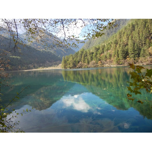 Sherry Zhou Photo 24