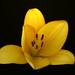 Christina Burden Photo 25
