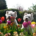 Milly West Photo 14