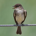 Phoebe Brown Photo 27