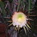 Maria Bloom Photo 37