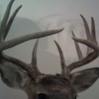 Scott Graham Photo 35