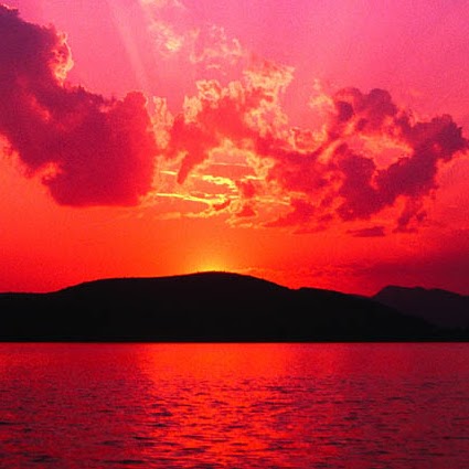 Gerald Maxwell Photo 43