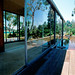 Richard Dion Photo 44