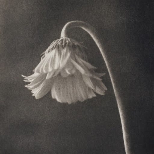 Heather Pyles Photo 1