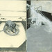 Francis Bacon Photo 30
