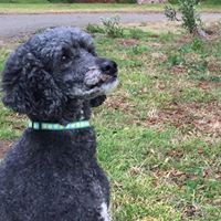 Wendy Larson Photo 35