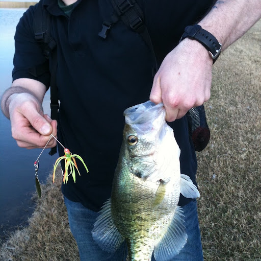 Matthew Lucas Photo 33