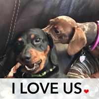 Laurie Evans Photo 20