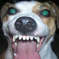 Julia Shrader Photo 5