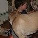Leah Phillips Photo 9