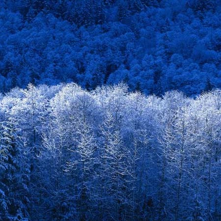 Sarah Mendoza Photo 6