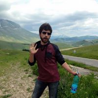 Robert Musgrove Photo 22