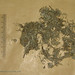 Han Cao Photo 8