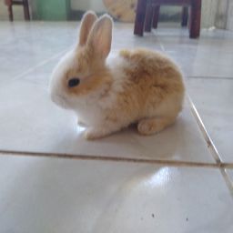 Julia Rosales Photo 6