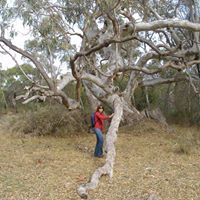 Deborah Ayre Photo 6