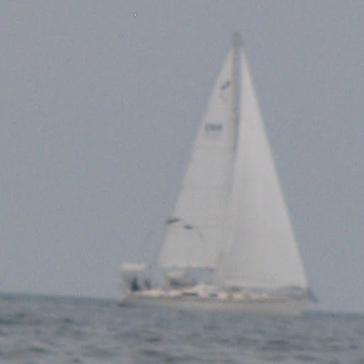 Gail Campbell Photo 5