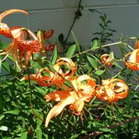 Jennifer Woolard Photo 21