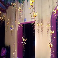 Julie Schaffer Photo 28