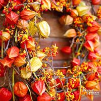 Debbie Gross Photo 28