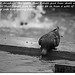 John Cutajar Photo 6