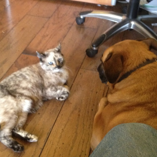 Kenneth Fitzgerald Photo 19