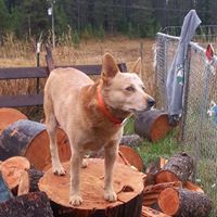 Janet Prior Photo 10