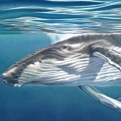 Jacqueline Erickson Photo 23