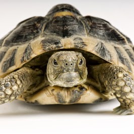 Marcus Stevenson Photo 16