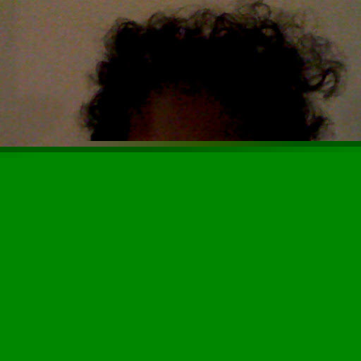 Celeste Jenkins Photo 5