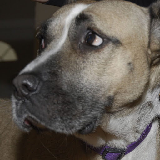 Julia Libert Photo 1