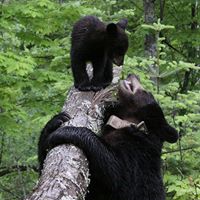 Sandra Winters Photo 14