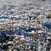 Crystal Meadows Photo 17