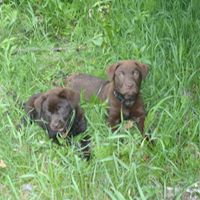 Rebecca Ripley Photo 9