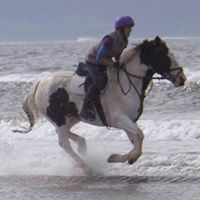 Marie Sheehan Photo 22