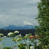 Tammy Scroggs Photo 5