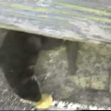 Laura Wyatt Photo 30