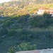Chih Tai Photo 3