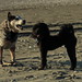 Jan Moss Photo 9
