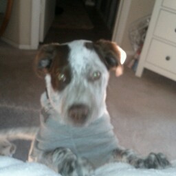 Troy Lacroix Photo 6