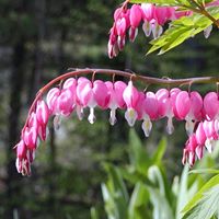 Karen Weeks Photo 12