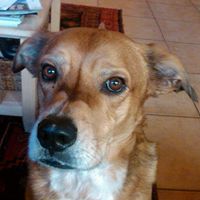 John Lindner Photo 28