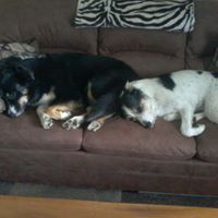 Colleen Huff Photo 16