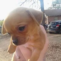 Rebecca Wilhelm Photo 19