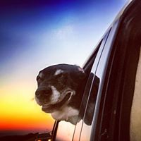 William Carmichael Photo 26