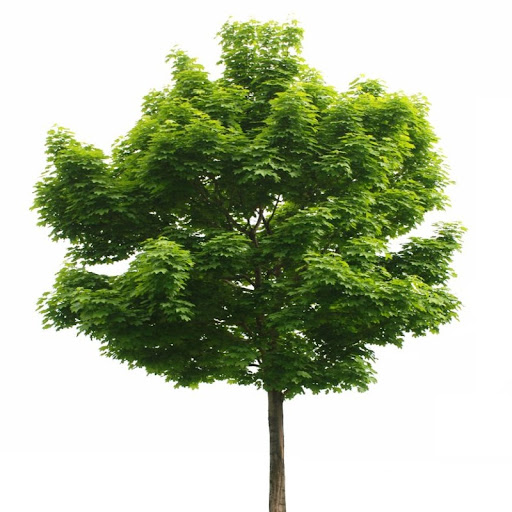 Stephen Doughty Photo 17 Stephen Doughty Photo 17